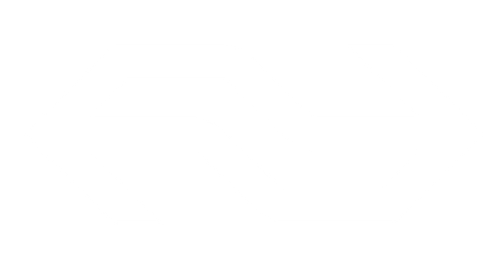 NS logo
